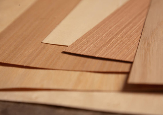 Material Wood Scandinavian House VENEER